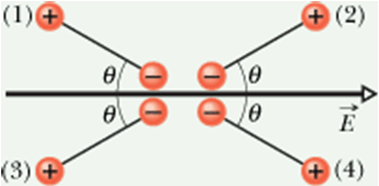 Electric Field_147.gif